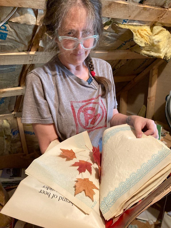 picture of me in big glasses opening a large book and inside it is paper towels and pressed leaves