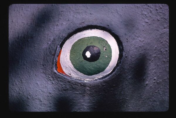 a close-up look of a scary eyeball which is painted on a thing called a Thunderbeast