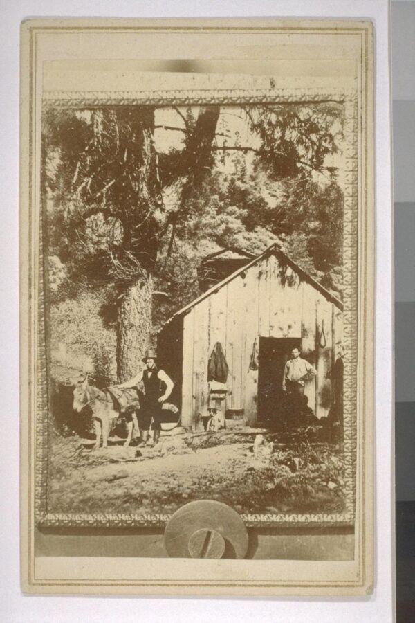 A very old photograph of two men and a burro standing outside a small wooden shack in the middle of a forest with immense trees.  One man is wearing a dark top hat looking had and a dark vest over a white shirt and solid boots. The other man is wearing a workshirt but is otherwise in shadow. The donkey is wearing a pack. The image has a small metallic frame and appears to be held in place (where?) with a screw at the lower center of it.